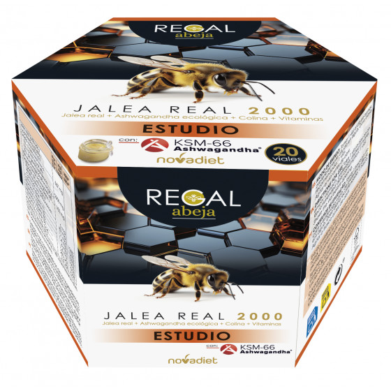 JALEA REAL 2000 ESTUDIO...