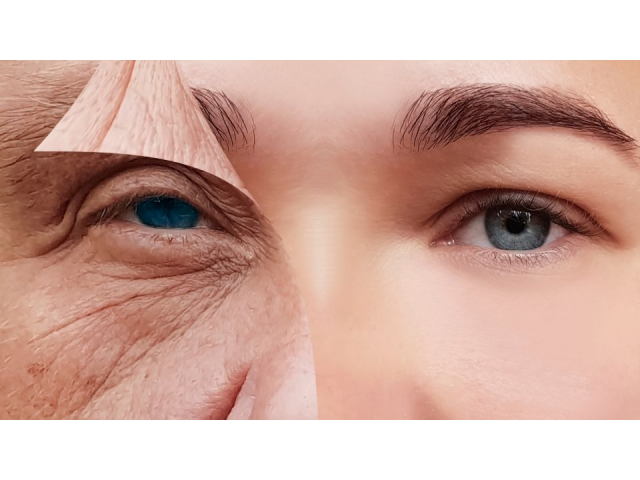 PIELESKIN